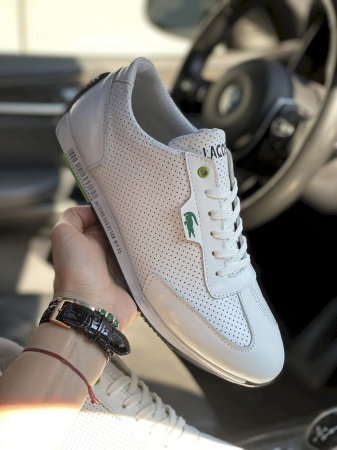 Anser-Л5S-M6-бел (9)