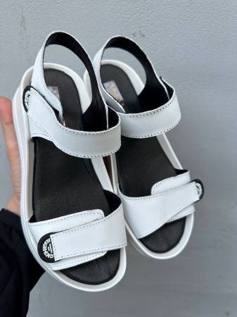 photo_2024-05-15_22-50-47