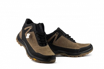 Anser 124-W-M1-ч (1)