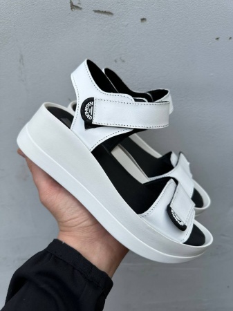 photo_2024-05-15_22-50-51