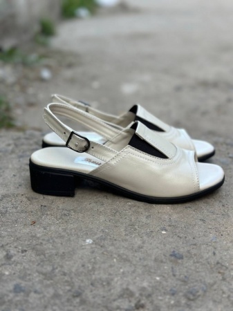 photo_2025-04-19_21-06-50