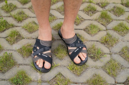 Splinter-с0515-S-M1-син-с (7)