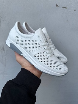 photo_2024-04-03_12-35-49