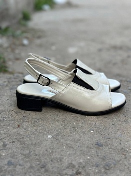 photo_2025-04-19_21-06-50