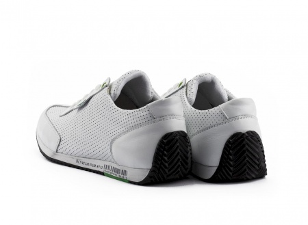 Anser-Л5S-M6-бел (4)