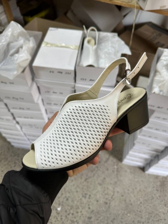 photo_2024-04-20_21-38-36