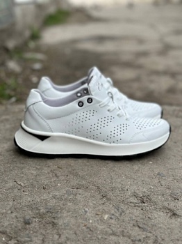 photo_2025-04-16_21-40-41