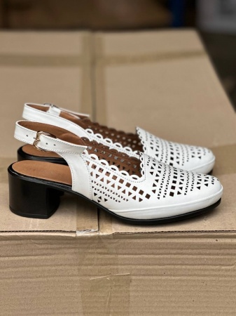 photo_2024-06-04_17-16-29