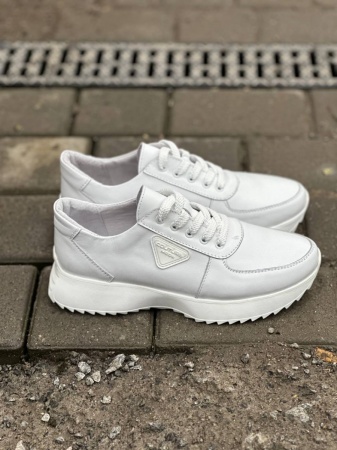 photo_3_2025-03-03_11-38-34