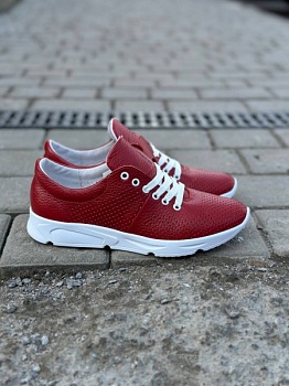 photo_1_2025-03-12_21-48-27