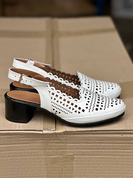 photo_2024-06-04_17-16-29