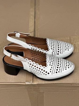 photo_2024-06-04_17-16-31