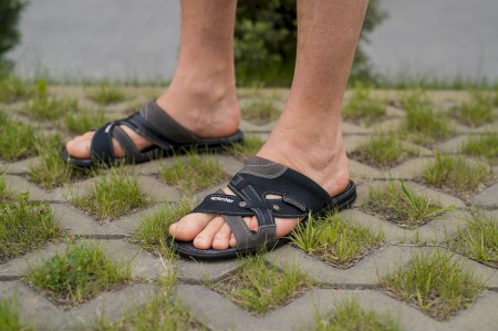 Splinter-с0515-S-M1-син-с (5)