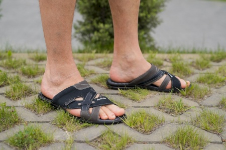 Splinter-с0515-S-M1-син-с (6)