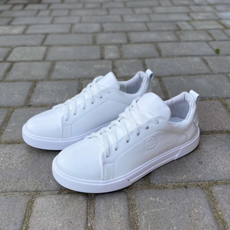 зображення_viber_2023-07-06_17-03-55-617