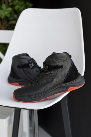 Фото 13.09.2023 19