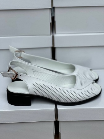 photo_2024-06-10_23-13-42