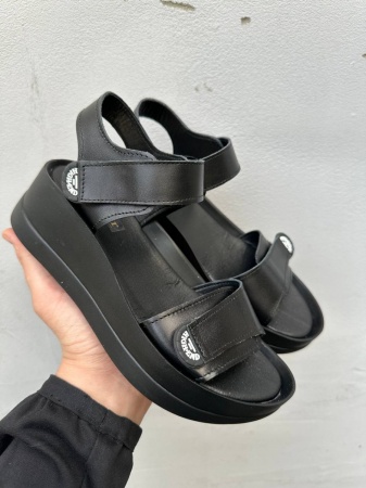 photo_2024-05-15_22-50-53