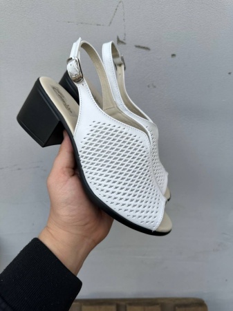 photo_2024-04-20_21-38-30