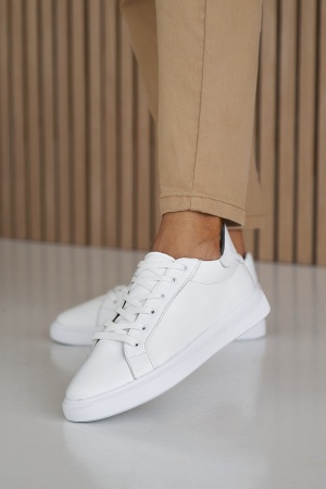 Фото 09.08.2023 260