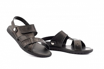 Rivest-Ш1-S-M1-чер (1)