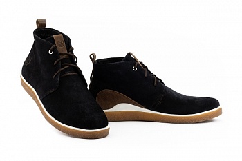 Zangak-152 с.зол (1)